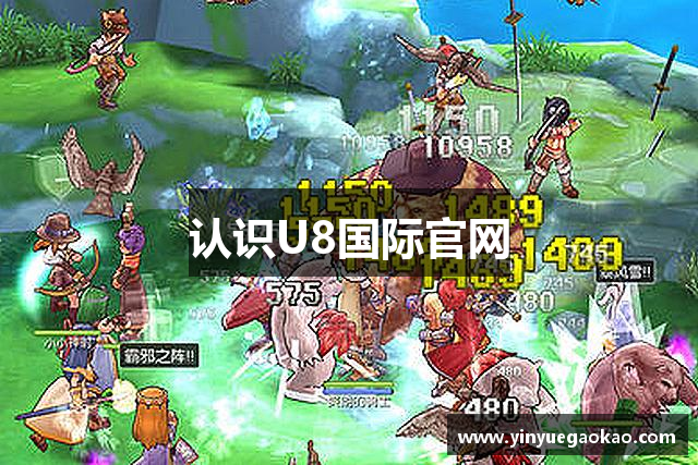 认识U8国际官网
